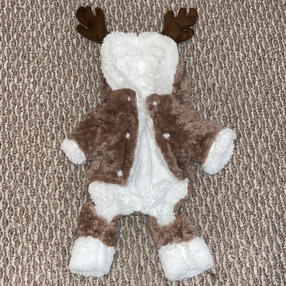Reindeer Christmas Outfit for Kittens
